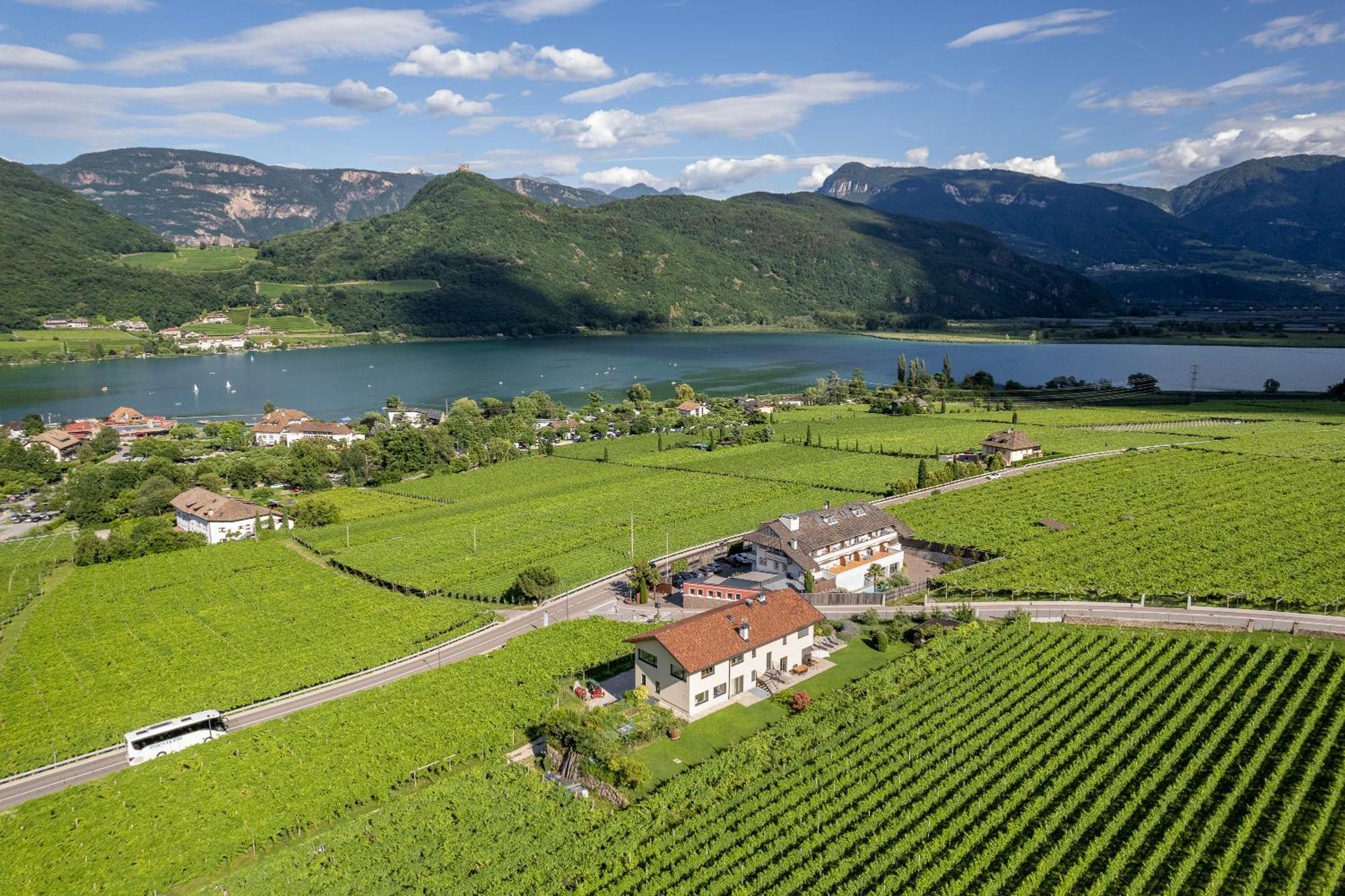 Roesslhof Bed & Breakfast Caldaro Bagian luar foto